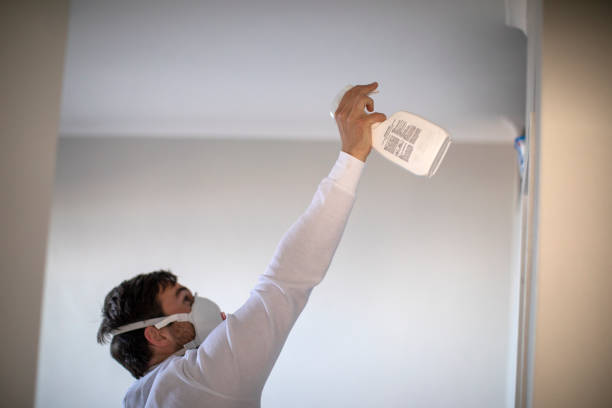 Best Residential Mold Removal  in Dora, AL