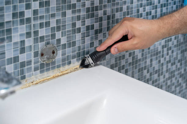 Office Mold Removal Services in Dora, AL